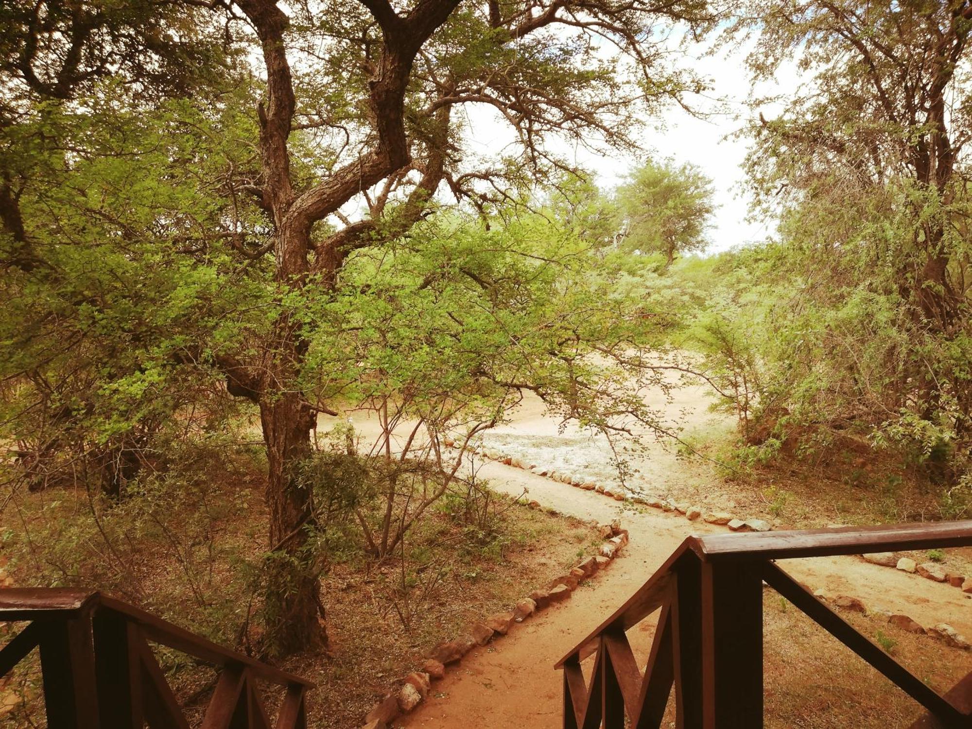 Kelora Bush Camp Hotel Hoedspruit Cameră foto